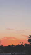 aviyabrami_ Altpins Profile Picture