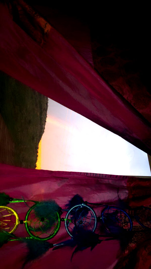 haileylayfield instagram image archive image