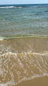 michal_cohen017 Altpins Profile Picture