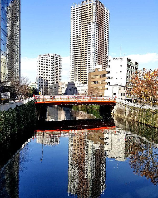 muze instagram image archive image
