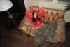 mariagabrielasantos Altpins Profile Picture