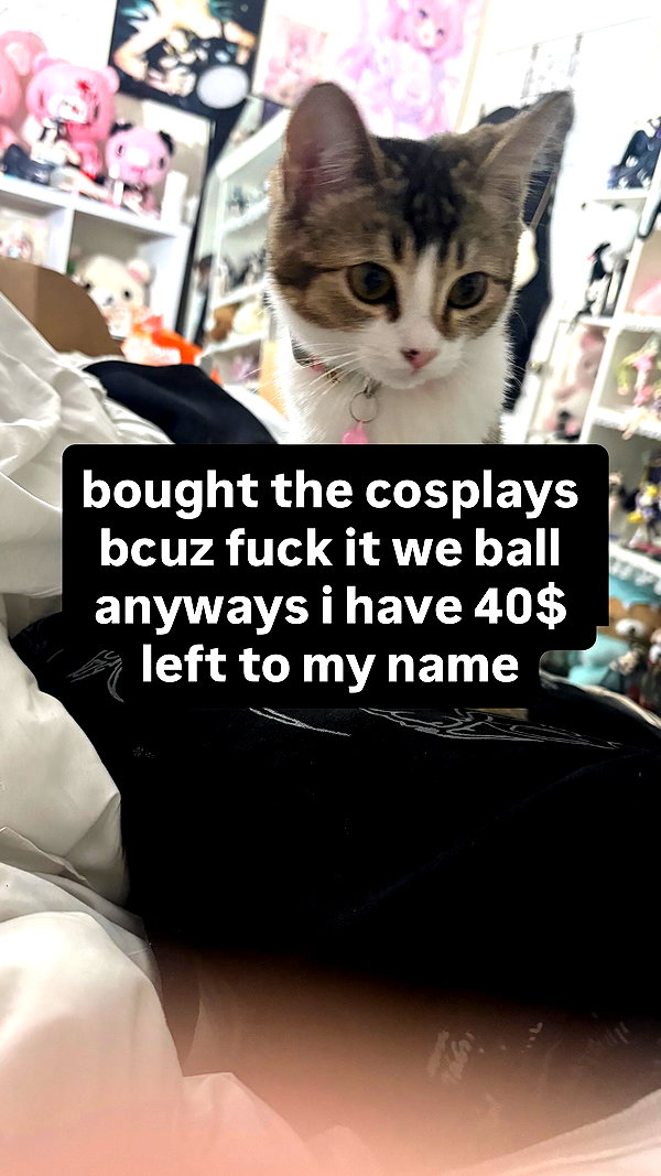 ashisbees instagram image archive image
