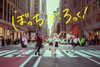 sora.sparrow Altpins Profile Picture