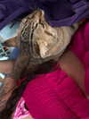 hellokittyangel666 Altpins Profile Picture