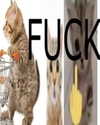 catl0verr69 Altpins Profile Picture