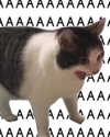 milkiwifey Altpins Profile Picture