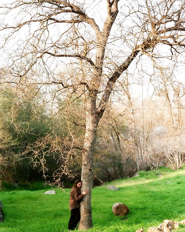 adyanacovelli instagram image archive image