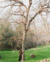 adyanacovelli Altpins Profile Picture