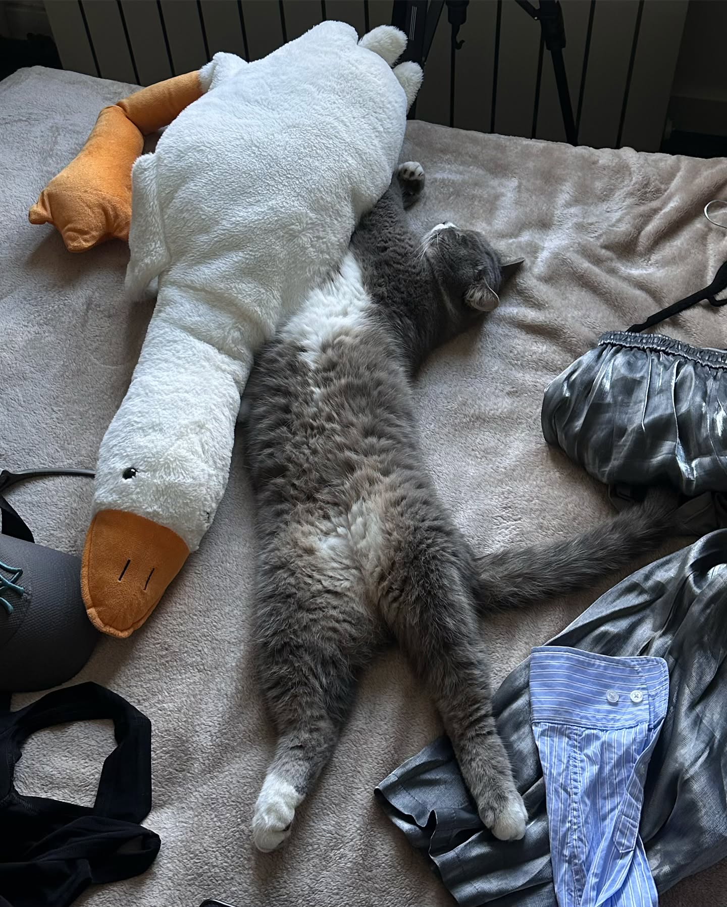 kkulakovaa instagram image archive image