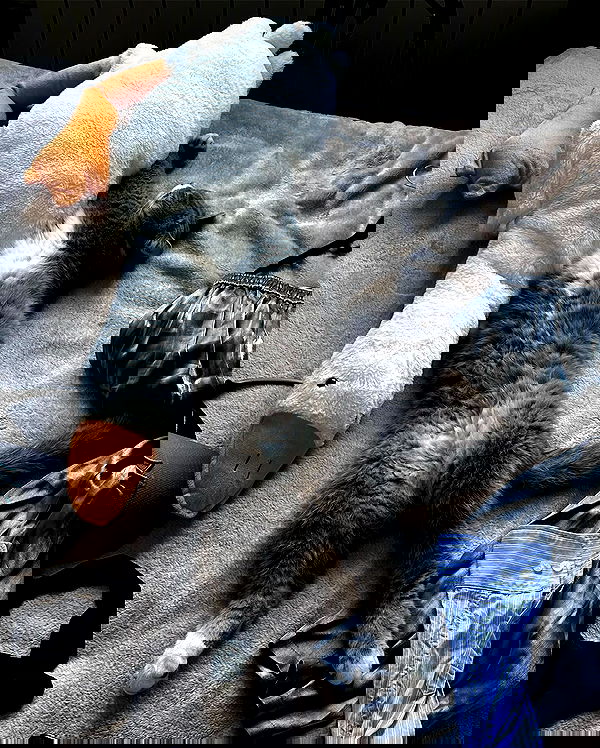 kkulakovaa image ~ Altpins