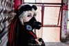 lucychernov Altpins Profile Picture