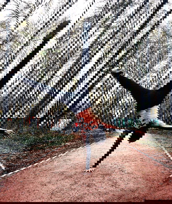 kkulakovaa image ~ Altpins