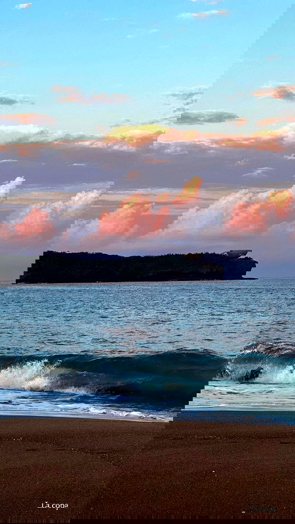 taylor.creeden taylor.creeden archive image