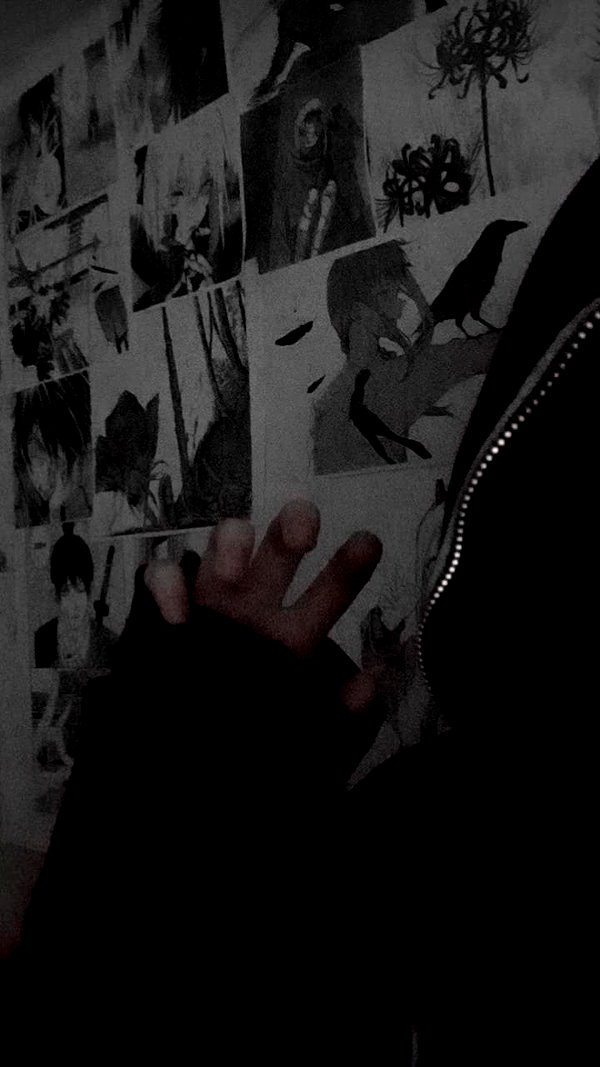 menorixqq instagram image archive image