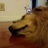 muze Altpins Profile Picture