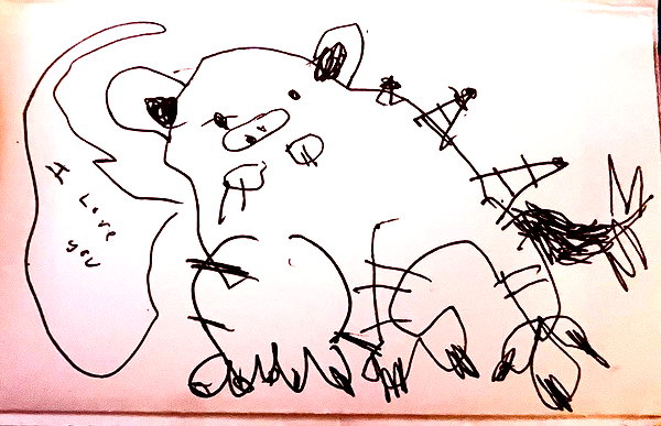 bugz4brainz instagram image archive image