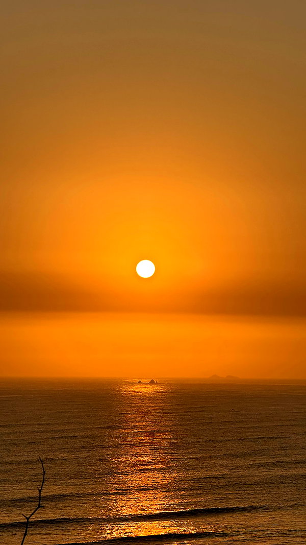 solzarubin_ instagram image archive image