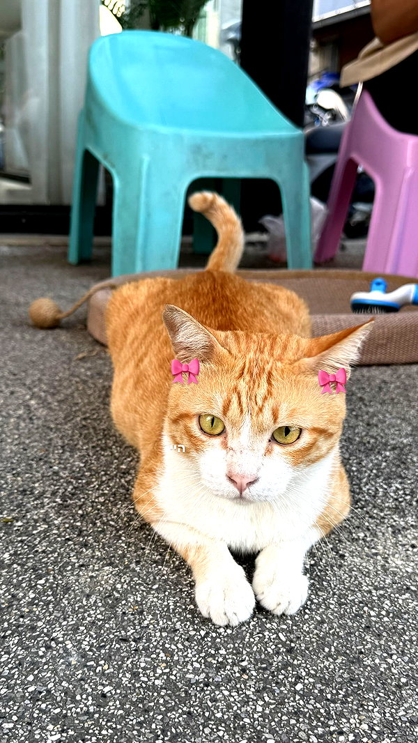 maya.keyy instagram image archive image