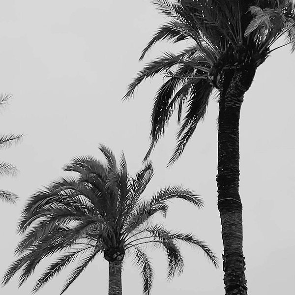 zoeliss instagram image archive image