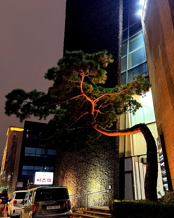protheme instagram image archive image