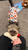 melislie Altpins Profile Picture