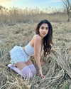 owlydiaa Altpins Profile Picture