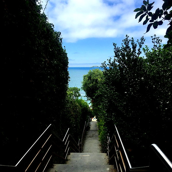 haileylayfield instagram image archive image