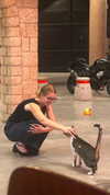 alex.banin Altpins Profile Picture