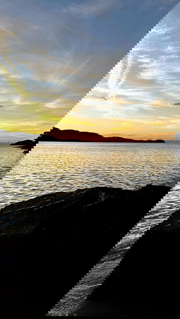 taylor.creeden taylor.creeden archive image