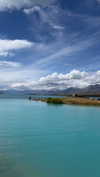 maori_cohen Altpins Profile Picture