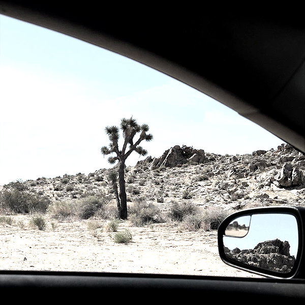 haileylayfield instagram image archive image