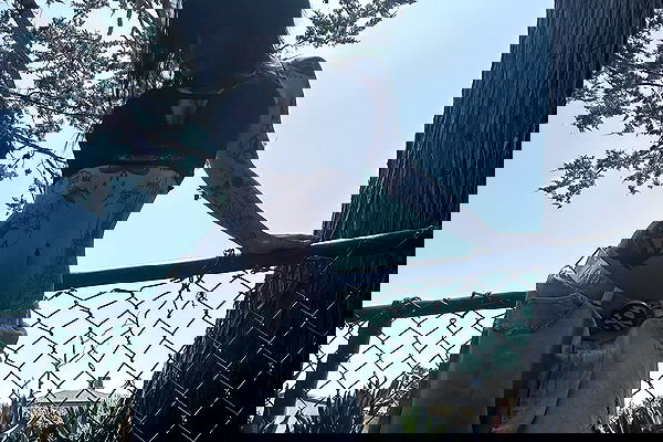 zommmbri zommmbri archive image