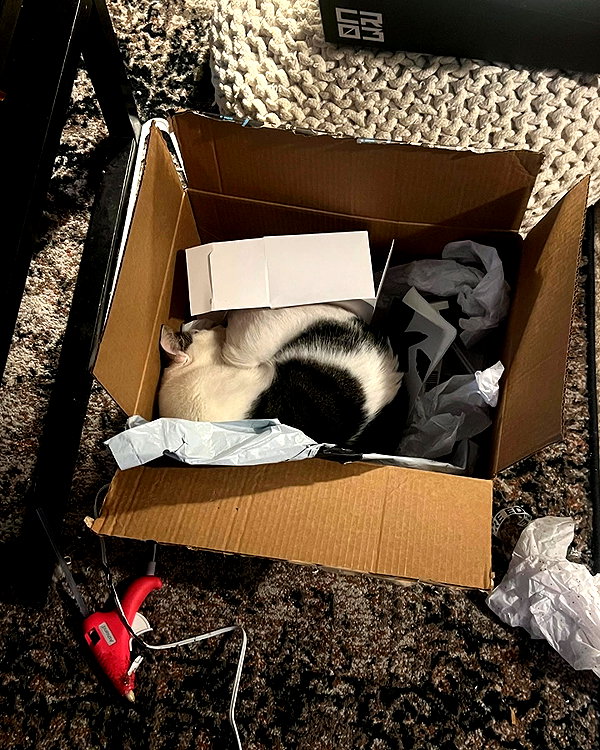 yeahimcaroline instagram image archive image