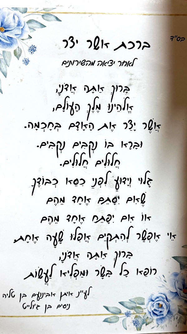 efrat_elmalich instagram image archive image