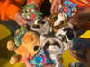 kimberr_0000 Altpins Profile Picture