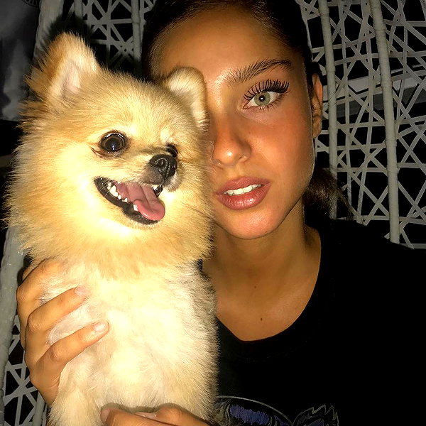 neta_alchimister instagram image archive image