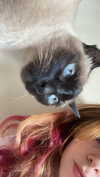 s111y_ccc0nt3 Altpins Profile Picture
