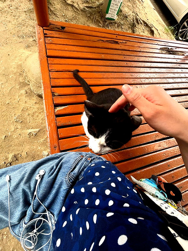 srillun instagram image archive image