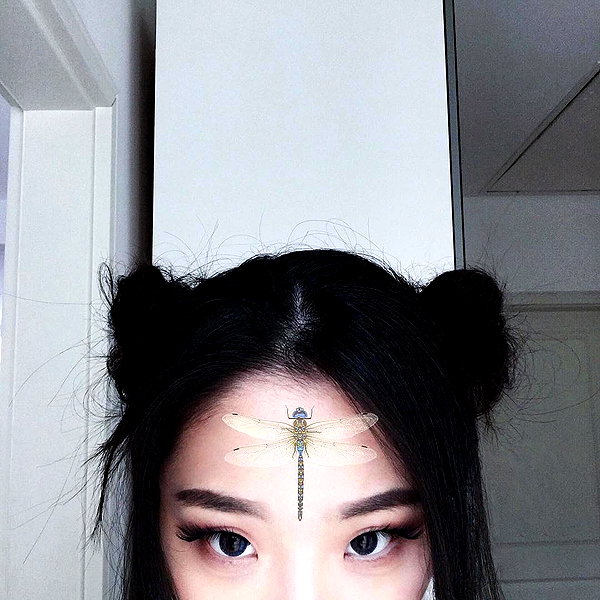 caminimm instagram image archive image