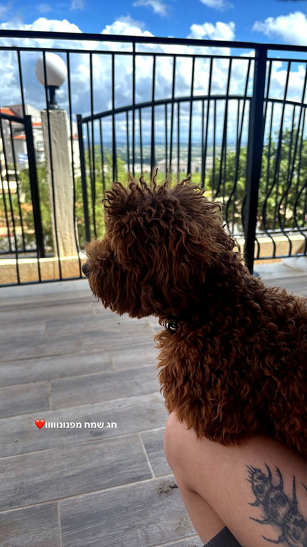 agam._.harel instagram image archive image