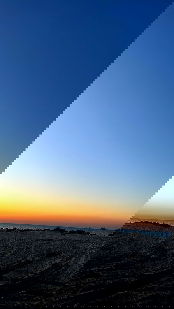 lissi77 lissi77 archive image