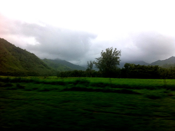 cialikechia instagram image archive image