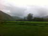 cialikechia Altpins Profile Picture