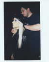 xtina Altpins Profile Picture