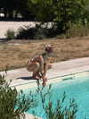 carolinezalog Altpins Profile Picture