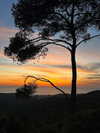 yasmin_kb Altpins Profile Picture