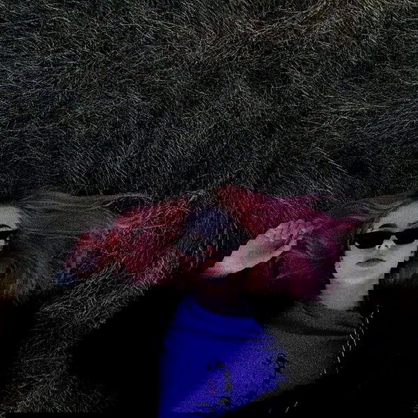 annfigmax image ~ Altpins