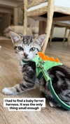 gabbyepstein Altpins Profile Picture