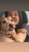 maori_cohen Altpins Profile Picture