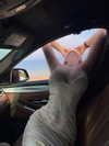 quenhi.phamm Altpins Profile Picture